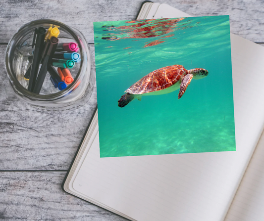 Coloring Page Protectors