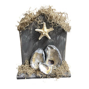 Coastal Nativity Gray